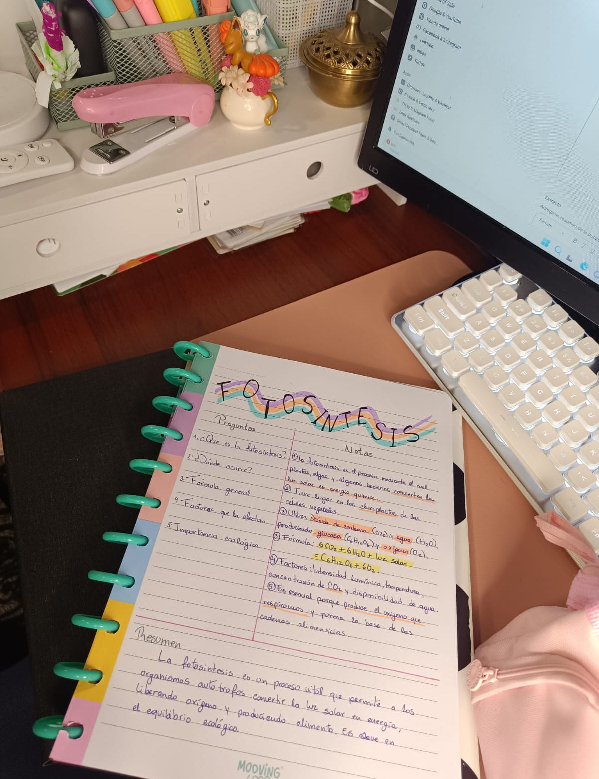 Organización mental y estructura del contenido en tus apuntes