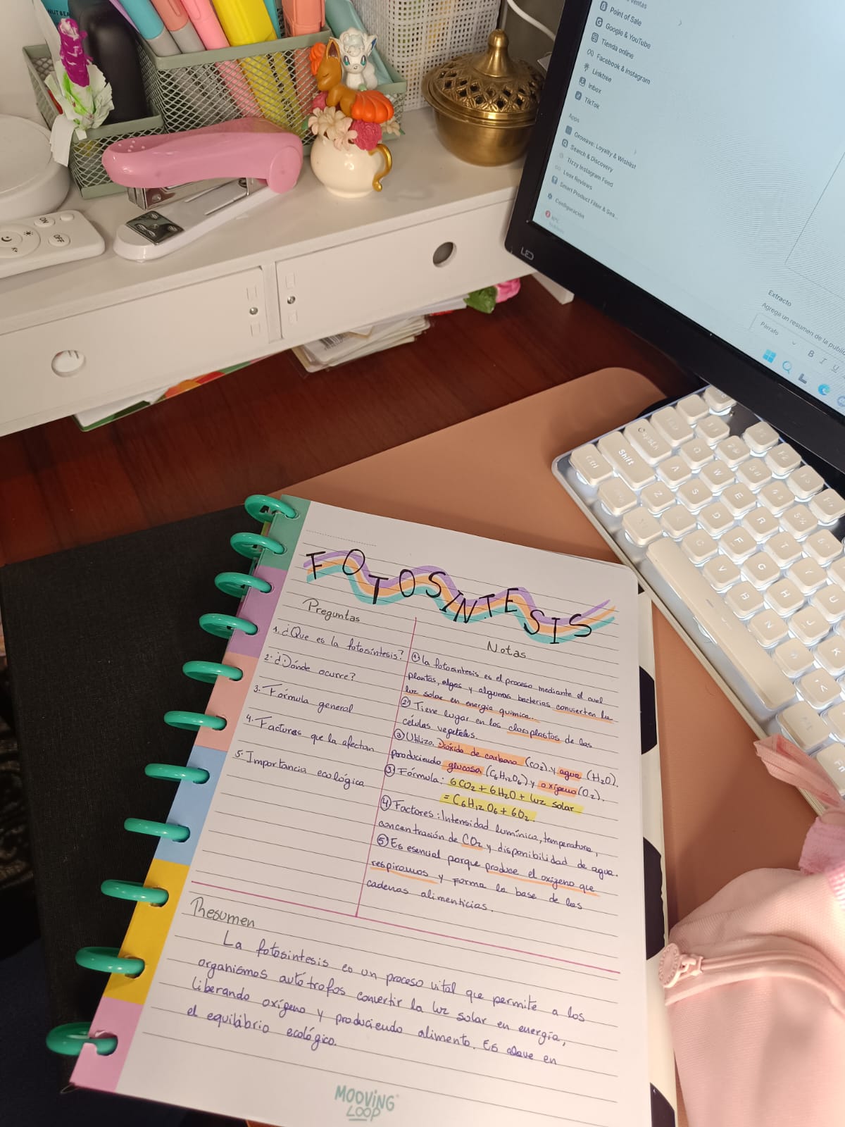Organización mental y estructura del contenido en tus apuntes