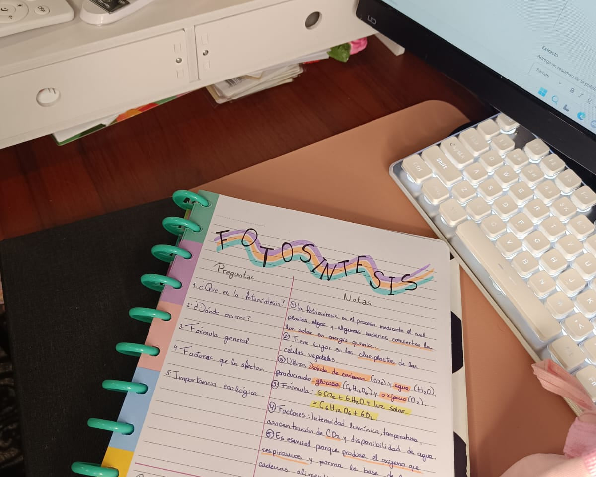 Organización mental y estructura del contenido en tus apuntes