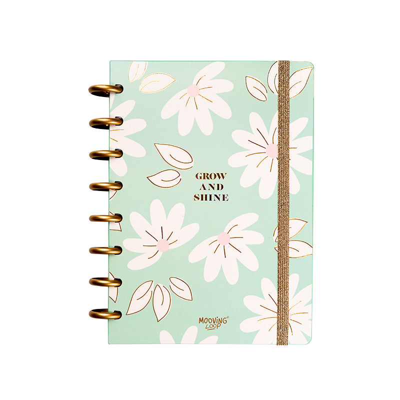 Pack Cartera (libreta infinita)