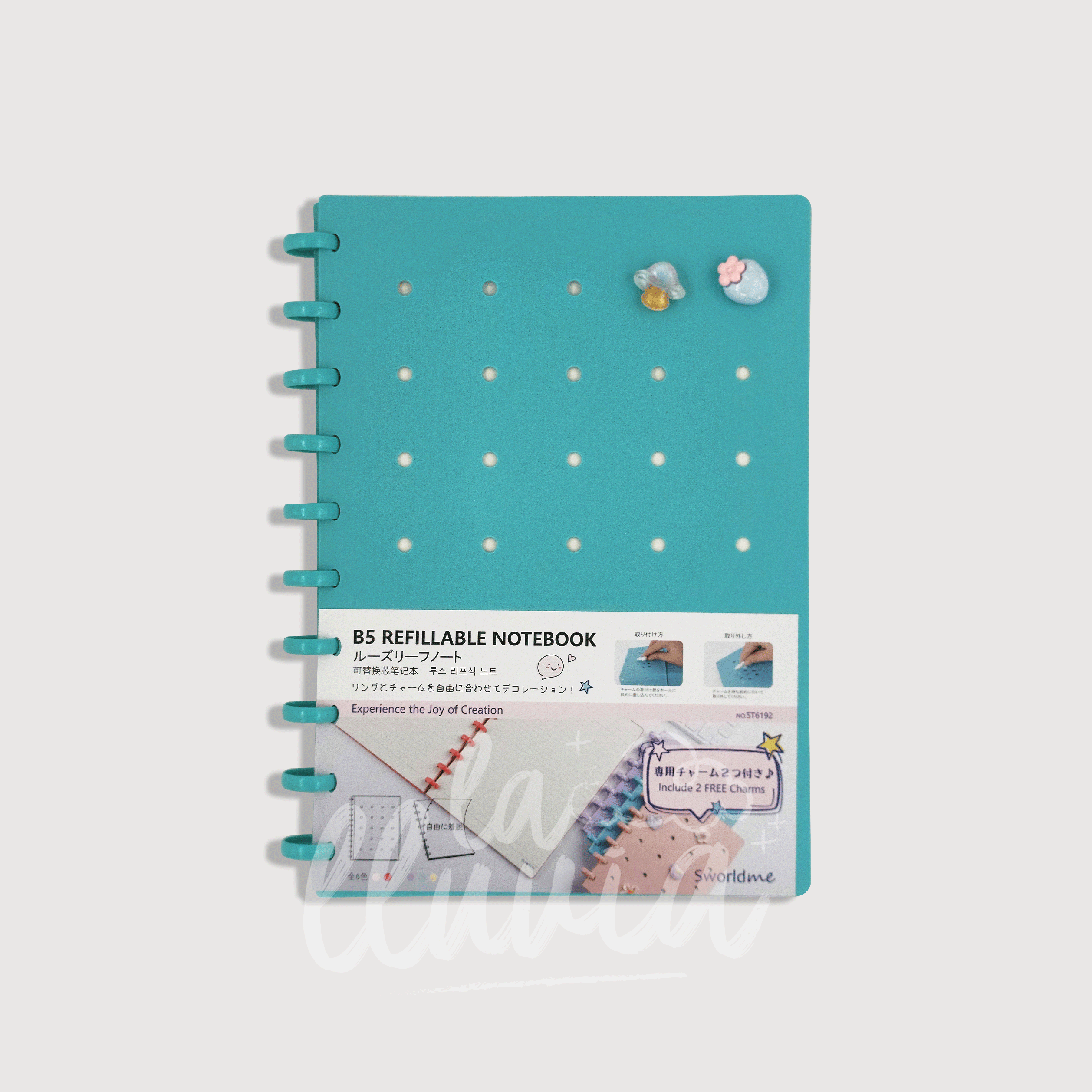 Cuaderno infinito SWorld B5 "Boreal Sky" - sistema de discos
